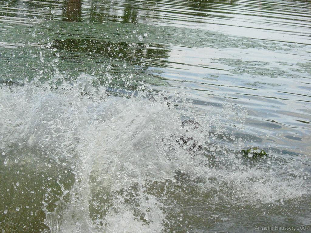 DSCN2093