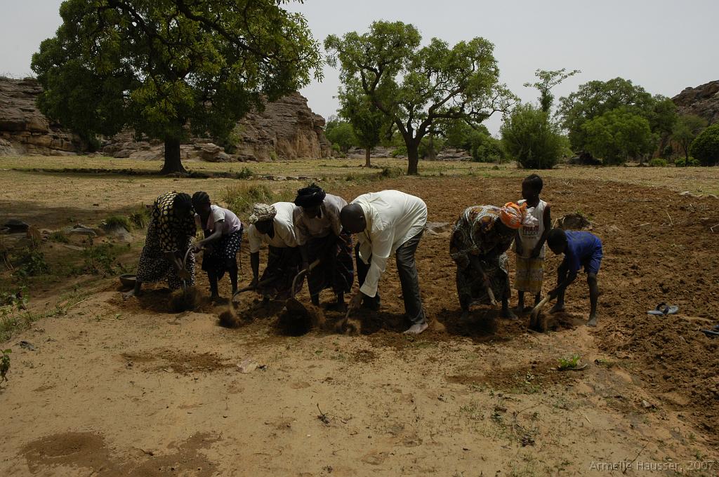 _DSC5306