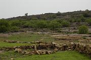 _DSC5267