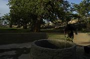 _DSC5762