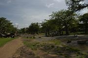 _DSC5794