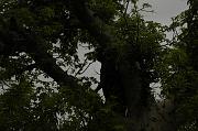 _DSC5967